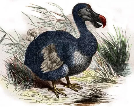 Experts State They Have Achieved a ‘Pivotal Step’ in Bringing Back the Extinct Bird for the Very First Occasion in Three Centuries